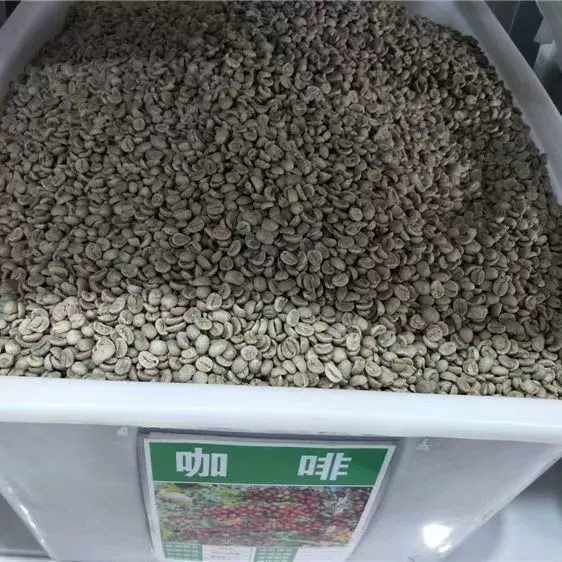Кофейные семена, семена кофейного дерева, напитки, кофейные зерна, семена растений, семена цветов, семена травы