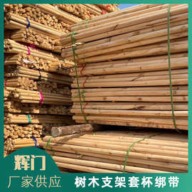 树木移栽固定塑料套筒 苗木种植防倒固定器绑带 2米长大树支撑棍