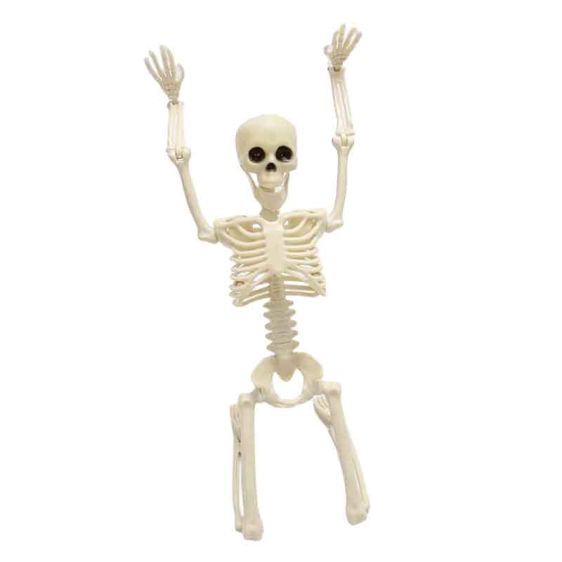 骷髅骨架 (8).jpg