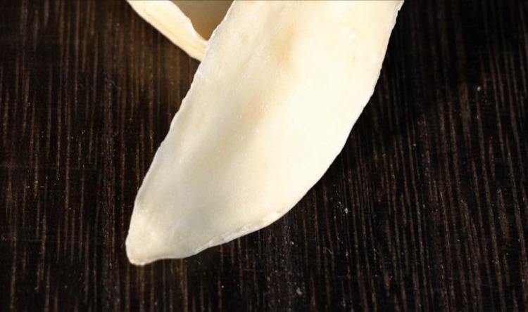 Dried Lily Bulb Slices Sulfur Free Bai He 500g Premium Selected for Soups and Teas specifications