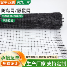 户外家禽养殖养鸡网农业种植拦鸟果园葡萄园防雹网果园防护网