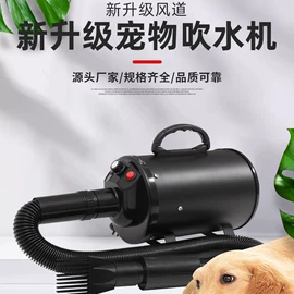 宠物吹水机