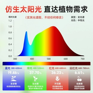 ✅ Plant Fill Light Led Full Spectrum Imitation Sunlight Lamp Vegetable Flower Seedling Succulent Plant Growth Indoor Large