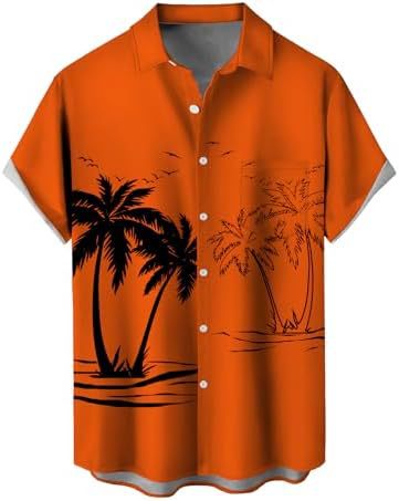 Orange Plant Tree-k25