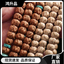 �����������������ִ��w��ʽֱ����Ӷ���혼y��Ę�ߘ�����