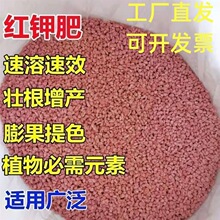 �M��⛷ʶ��_˹����⛼t��~��ʱ����ٹ���ˮ�ܷ�⛷��{ˮͨ����