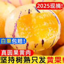 ����˅���ˮ���A���S�������rʯ���˅���������������������]