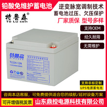 ��³ɭTLS100-12N����ʽǦ������12V100AH�ź���UPS��Դ�ɸ���