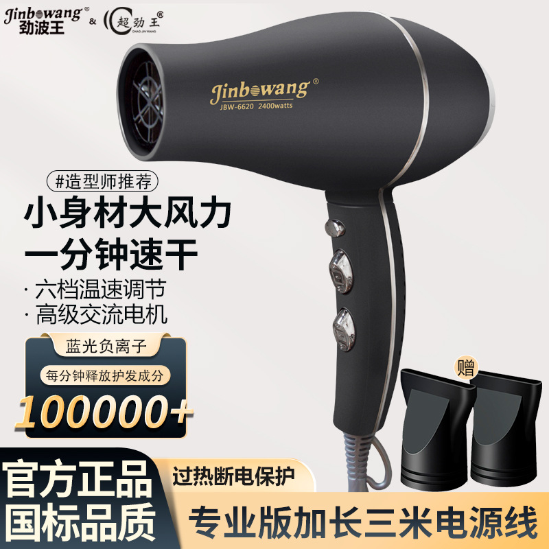 Jin Bo Wang 6620 Hair Salon Professional Hair Dryer Negative Ion High Power Barber Shop Hair Dryer Cross-border Foreign Trade