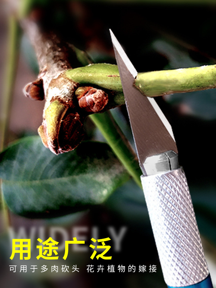 园艺盆栽多肉砍头刀嫁接刀芽接刀工具雕刻月季蟹爪兰嫁接专用刀