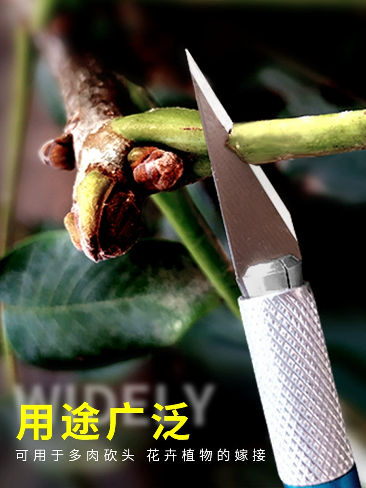 Садовый горшечный мясистый разделочный нож прививочный нож почечный нож инструмент резьба Роза Краб коготь Орхидея прививка специальный нож