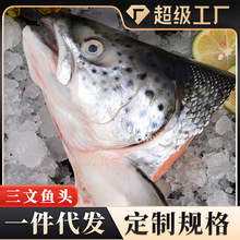 挪威三文鱼头无冰鲑鱼V型切鱼头商用批发海鲜三文鱼头一件代发