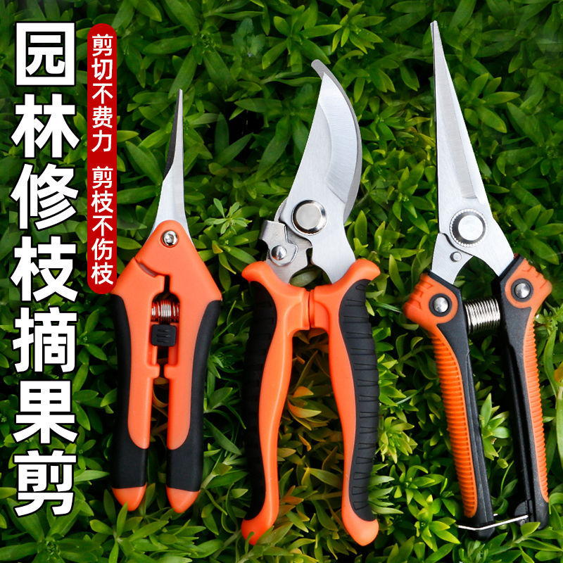 Household Pruning Shears Special Shears for Fruit Trees Flowers Garden Shears Stainless Steel Shears Branch Greening Grafting Garden Scissors