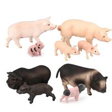 仿真越南猪小猪公母猪模型实心塑料动物模型儿童玩具办公室摆件