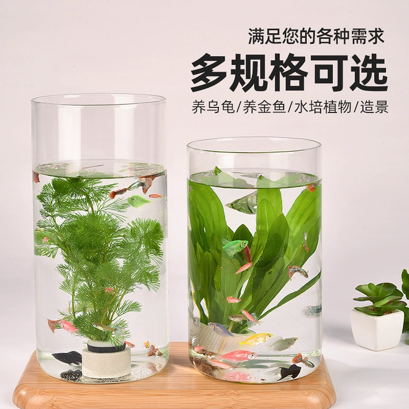 Высокопрозрачный круглый стеклянный аквариум для золотых рыбок, гидропонный мини-аквариум для гостиной, экологический аквариум для золотых рыбок, офисный микроландшафтный стеклянный аквариум для петушков.