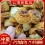 云南野生特产源头姬松茸