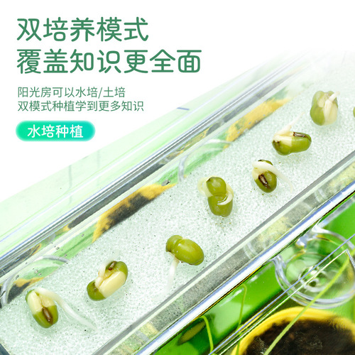 Learn from Yuma Sunroom Planting Children's Vegetable Toys Scientific Experiment Potted Handmade DIY Materials Plant Flower Room