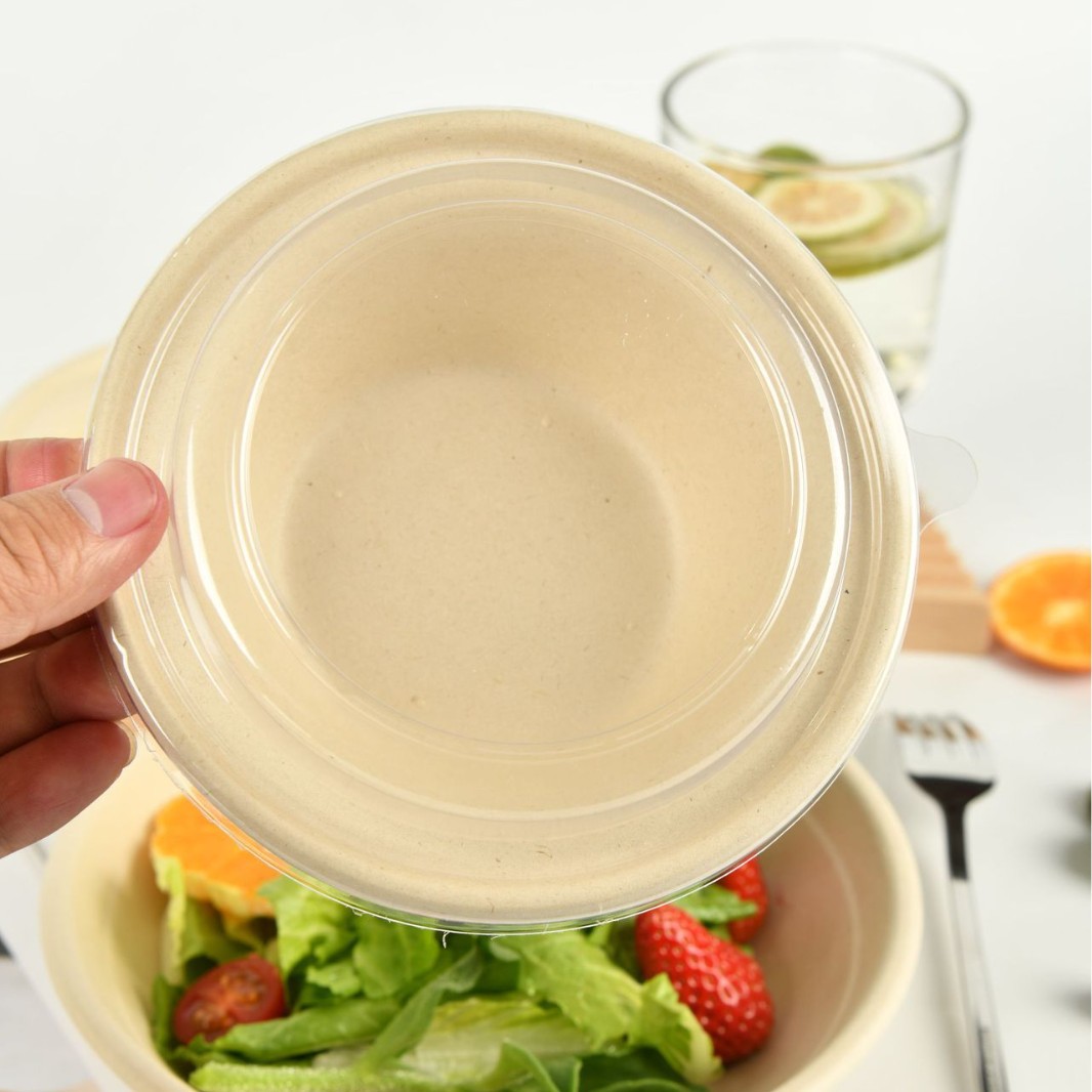 2025-04-07 09:09:19.jpg