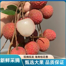 2026�����r��֦���Ϲ��������^�������ֱ֦�l���\�Y��һ�����l