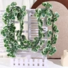 72-leaf white-edged crabapple leaf cane