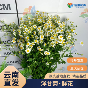 ��ʾ��r����ϻ���ֱ�lС���r�л��r�չ�������[���Fُ�r��؛Դ