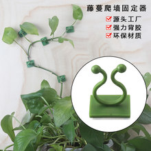 绿萝固定器 直销藤蔓植物固定夹子 免打孔爬墙腾电线固定伸缩杆扣