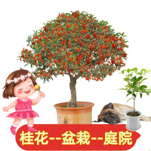 �𻨘����ļ������Թ𻨹����Ϙ������҃���Gֲ�辰�����ͻ���