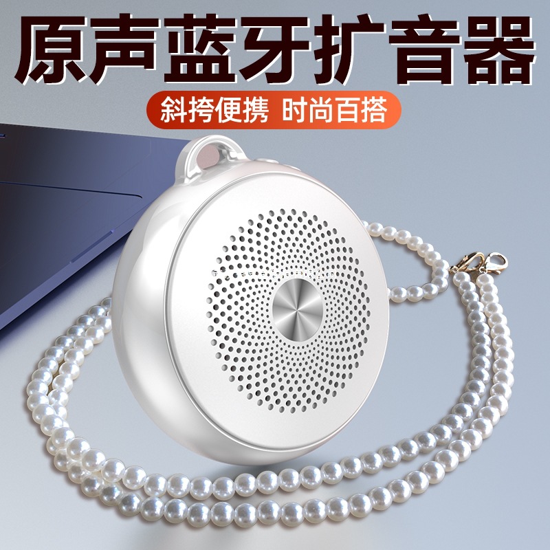 Little Bee Microphone Teacher's Special High Volume Speaker for Promotional Mini Small Portable Amplifier