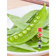 mNѷN㶹ļ߲㶹NѷNRQѼ붹