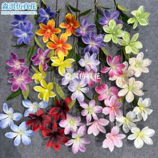 �¿�3�^�F���m�����滨��c�b���3D��ӡ�Ҿ�ܛ�b���߼ٻ�