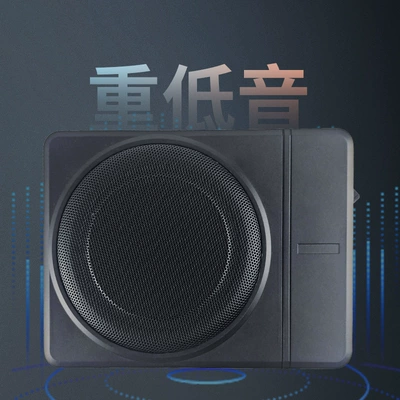 Source Factory 10inch Car: Car speaker/subwoofer