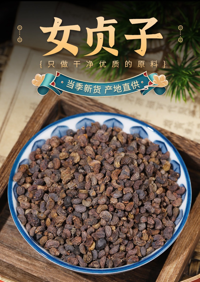 Glossy Privet Fruit Nuzhenzi Dried Chinese Herb 120g Jar Traditional TCM Herbal Tea and Decoction Ingredient overview