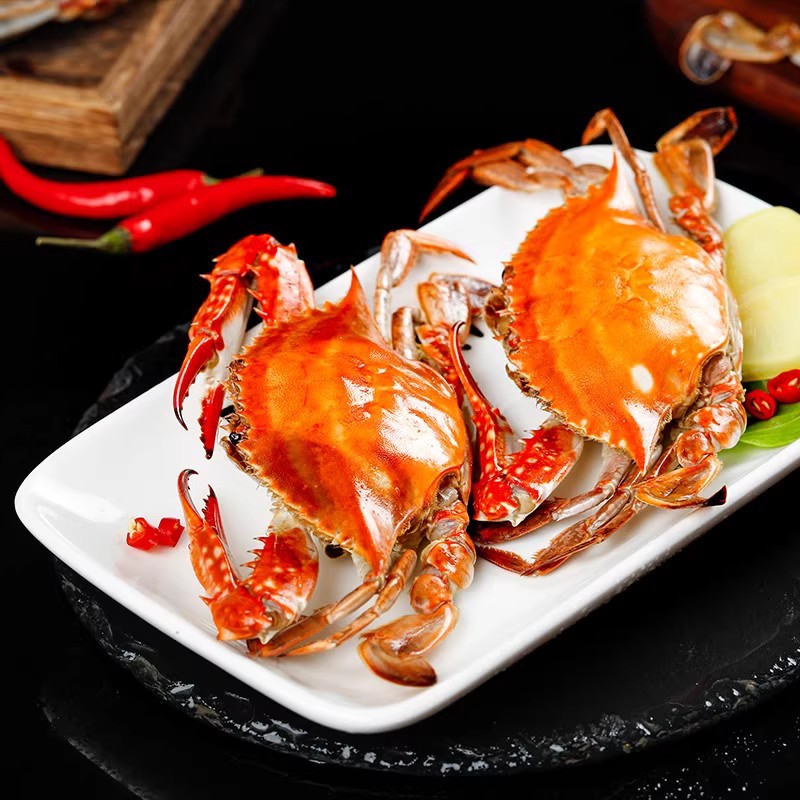 梭子蟹鲜活熟冻海螃蟹大母梭子蟹海蟹飞蟹海鲜批发