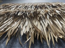 �S�����l�����¹ş��N����é���߷�������é������ٵ��ݽ���é��