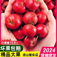 ���rɽ髹�5���bɽ��r��ɽ��t�������ɽ髱������ú��J2