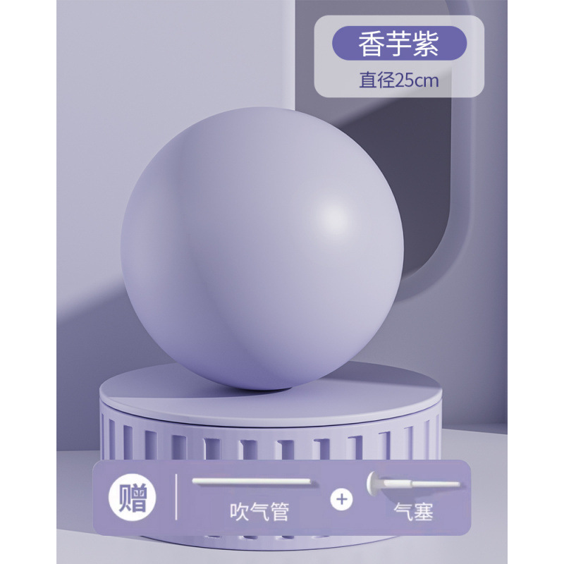 普拉提小球加厚健身迷你25cm孕妇瑜伽儿童感统训练球康复|undefined