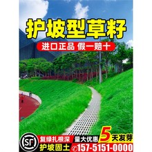 o¹ƺļ߅¹ľG̺ӵݷN