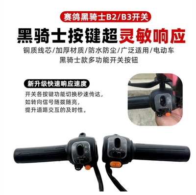 Other Electric Vehicle Accessories, Electric Racing Pigeon Black