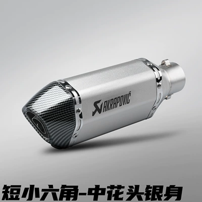 Street Bike Small Hexagonal Scorpio | Motorcycle exhaust pipe - 300mm-short-style-small-hexagon-medium-flower-head-silver-body