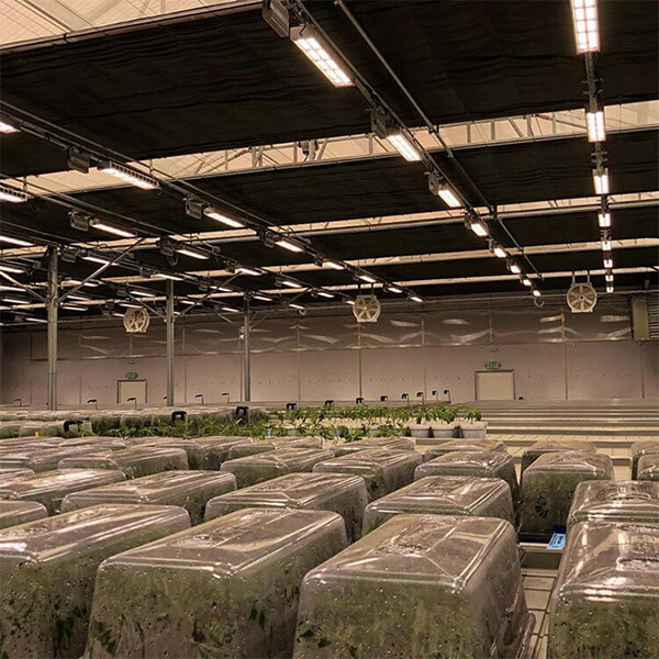 led植物灯专用种植室内生长灯630w中草药远红光全光谱补光灯