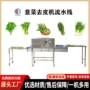产量商用自动大葱去皮机