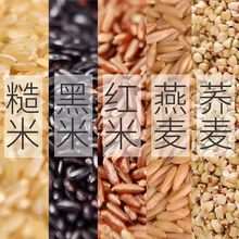 5斤五色糙米新米胚芽米东北五谷杂粮红米黑米糙米燕麦米高粱米饭