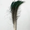 80-90cm right feather true color