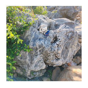 �҃���ʽ��ɽˮ�b�ʯ|��Ȼ�ڰ׸�����ʯ���^�[��|�e��ͥԺ�@��