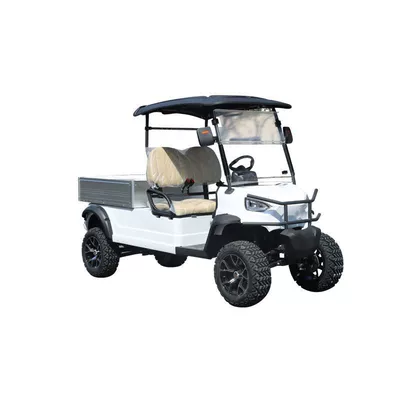 6-Seater Golf Cart, Elektrikli qolf avtomobilləri