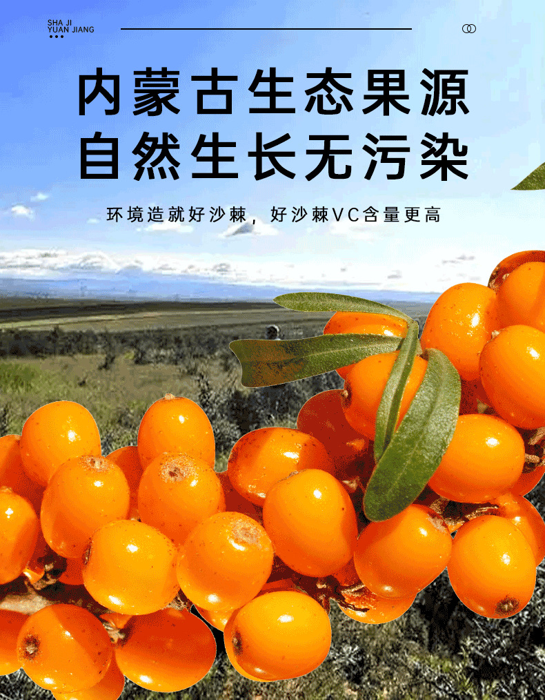 Sea Buckthorn Juice Puree Small Pack Portable 300ml Inner Mongolia Origin specifications