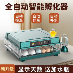 家庭用孵化器鶏鴨ガチョウ鳩ルチン鳥卵孵化機械孵化箱