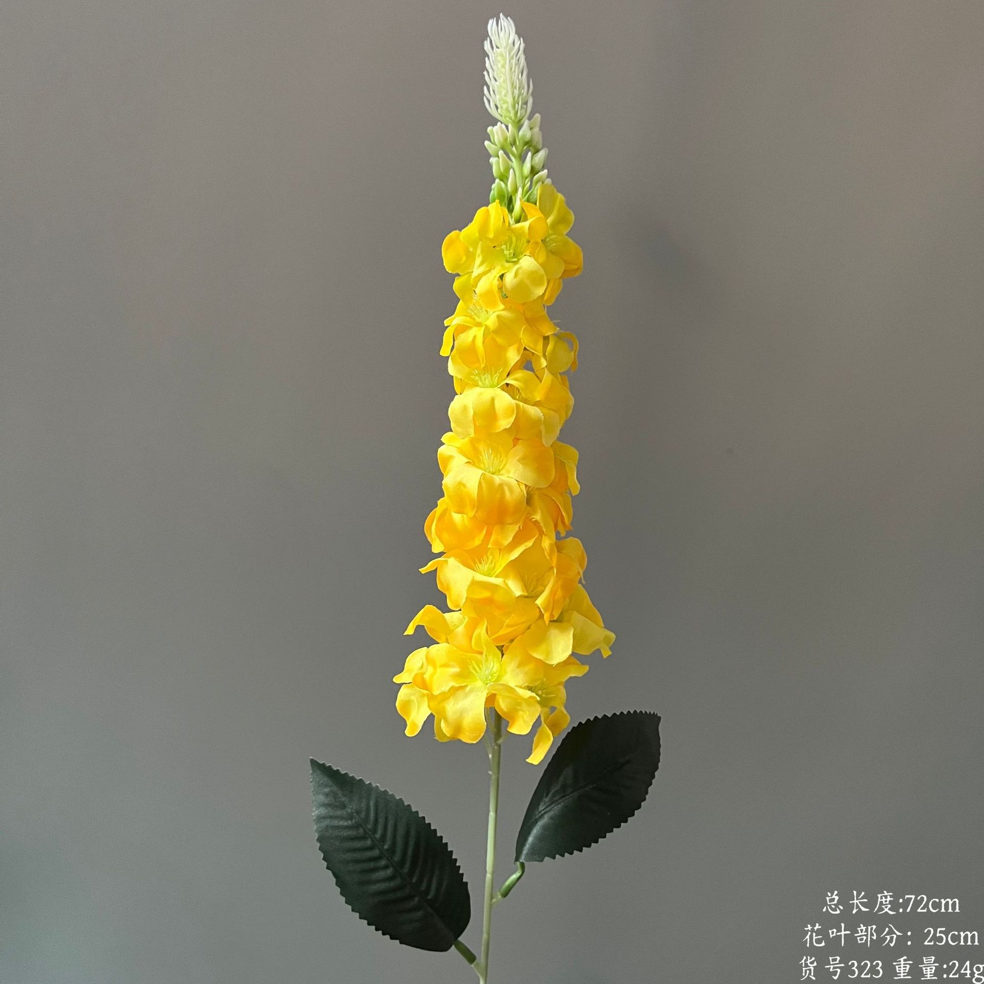 상품 번호 323 - 금어초 한 송이