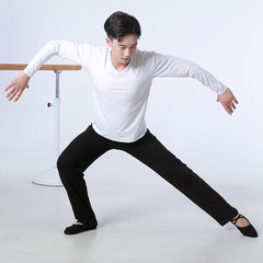 Men's dance practice clothes, adult art school students' physical performance clothes, aerobics clothes, Latin dance clothes, sports suits