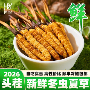2026�����r�^�綬�x�Ĳ����l���r�����^���r�x����S���]�S��ֱ��